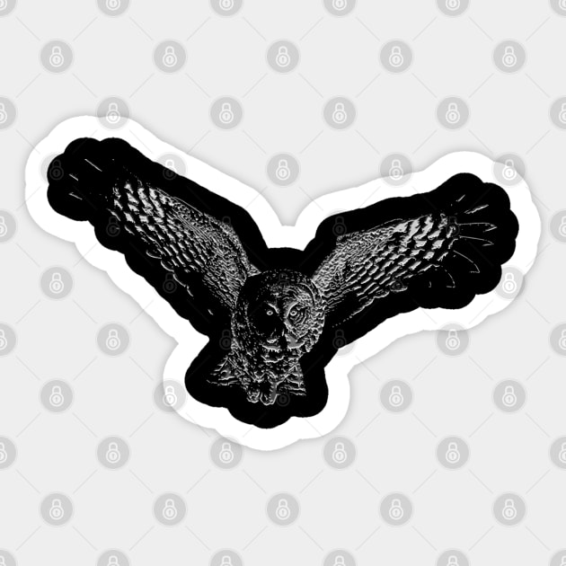 flying owl Sticker by hottehue